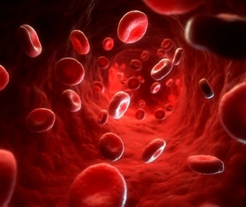 haematológia szakrendelés